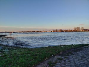 Rheinblick